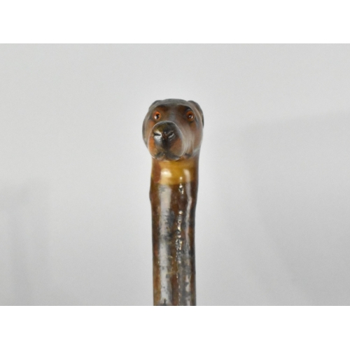 141 - A Rustic Walking Stick with Carved Greyhound Head Handle and Glass Eyes, 86cms Long