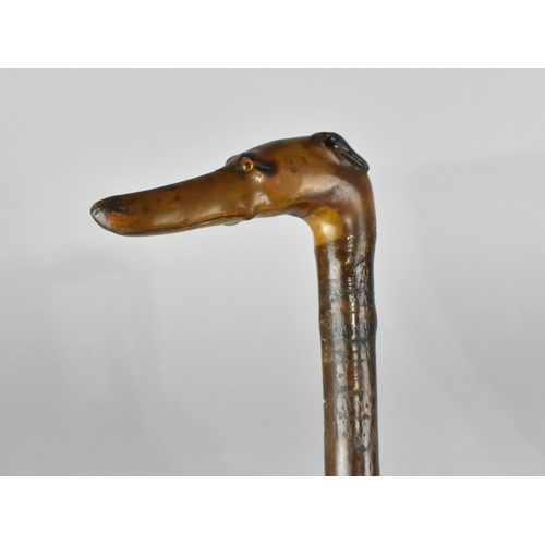 141 - A Rustic Walking Stick with Carved Greyhound Head Handle and Glass Eyes, 86cms Long