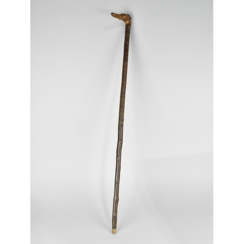141 - A Rustic Walking Stick with Carved Greyhound Head Handle and Glass Eyes, 86cms Long