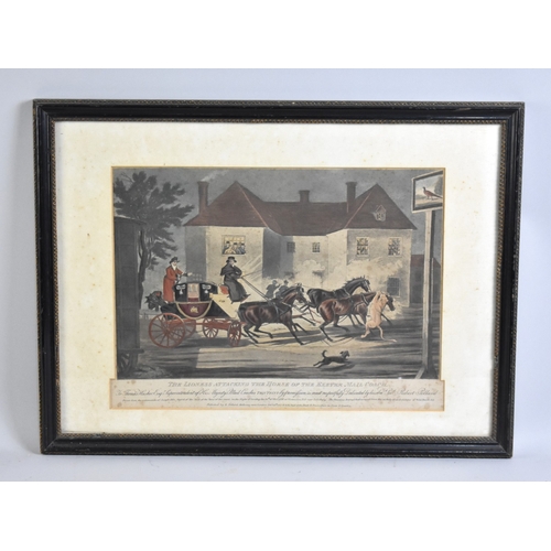 334 - A Framed and Glazed 19th Century Coloured Engraving, 'The Lioness Attacking the Horse of the Exeter ... 