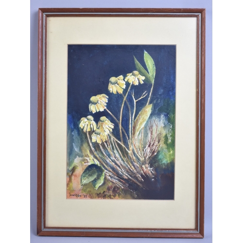 335 - A Framed and Glazed Painting, Cornflowers, Signed O Morgan '85, Subject 20x29cm