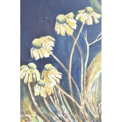 335 - A Framed and Glazed Painting, Cornflowers, Signed O Morgan '85, Subject 20x29cm