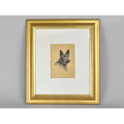 200 - A James Grant Original Drypoint Aberdeen Terrier, 10.5x15cms
