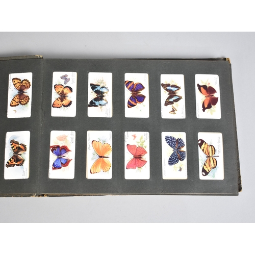 215 - A Large Collection of Tea Cards, Cigarette Cards, Tea Card Albums, Booklets, Wrist Watch Etc