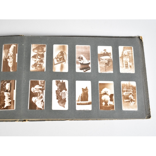 215 - A Large Collection of Tea Cards, Cigarette Cards, Tea Card Albums, Booklets, Wrist Watch Etc