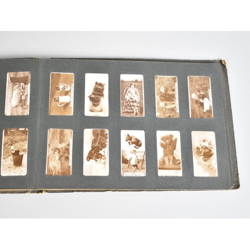 215 - A Large Collection of Tea Cards, Cigarette Cards, Tea Card Albums, Booklets, Wrist Watch Etc
