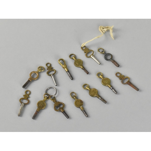 Lot 28        