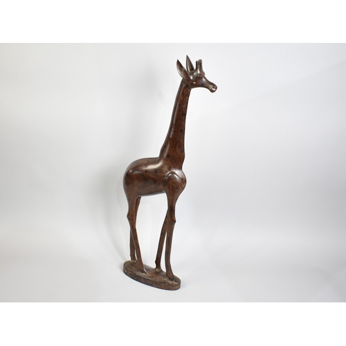 Lot 57        