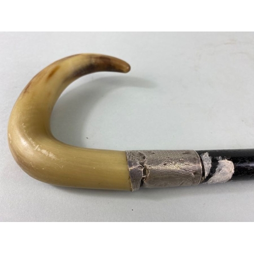 109 - Silver mounted walking stick, polished horn handle on ebonised sick with hallmarked silver collar,