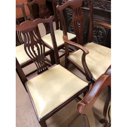 182 - Antique furniture, Six dining chairs , 4 chairs and 1 carver matching and 1 damaged carver of a simi... 