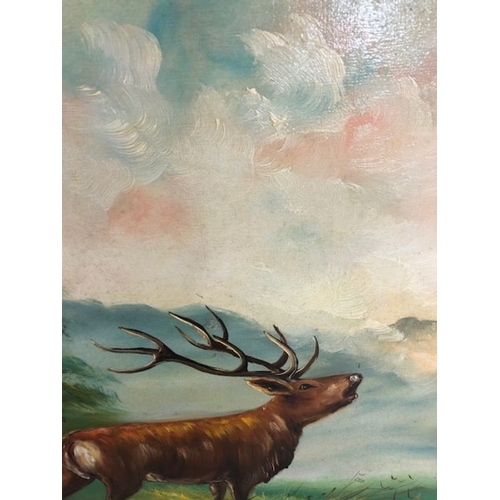 220 - Vintage painting, large oil painting in frame of a stag in wooded heathland signed Borlacch approxim... 