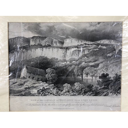 224 - Pictures, 3 etchings of local interest being a view of the Landslip at Lyme Regis 1840, Ruins after ... 