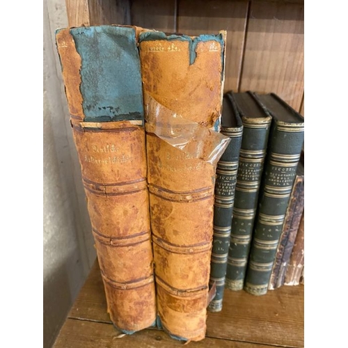 240 - Antique Books:  a collection of quarter, half and full leather bound books in French and German to i... 