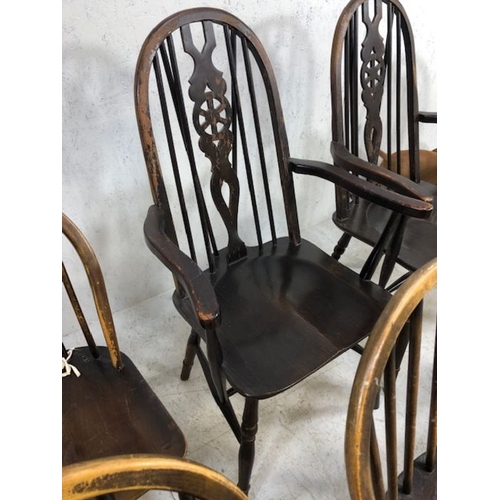 242 - Six stick back Ercol dining chairs, and two wheel back carver chairs