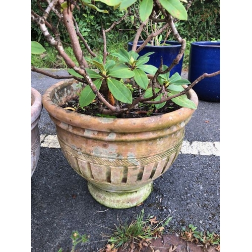 400 - Pair of Terracotta Garden pots approx 32cm tall