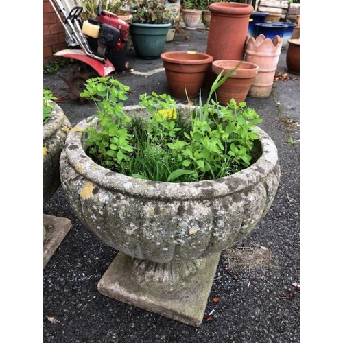 421 - Pair of concrete garden planters approx 34cm tall