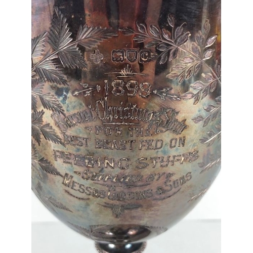 6 - Large Hallmarked Silver Victorian Trophy cup engraved 