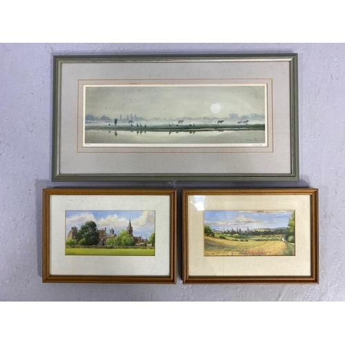 133 - Pictures, 3 landscape prints by artist Valerie petts in modern frames frames