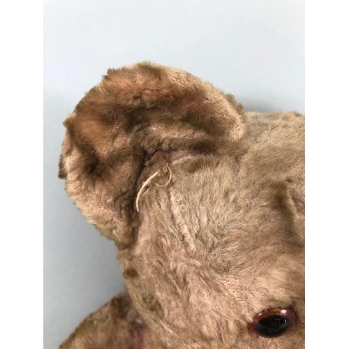 186A - Vintage teddy bear, Pre War Chad Valley style Pink plush Bear, Shaved Muzzle with stitched nose  Kap... 