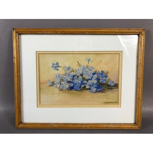 386 - Framed water colour painting of blue flowers, signed in bottom corner Amy H Beetham Mills, 35 x 28 t... 