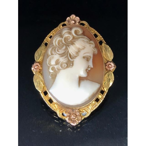 62 - 10ct gold Cameo, carved shell portrait cameo of a young woman set in a 2 colour gold frame of leaf d... 