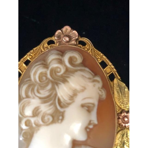 62 - 10ct gold Cameo, carved shell portrait cameo of a young woman set in a 2 colour gold frame of leaf d... 