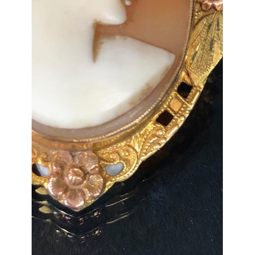 62 - 10ct gold Cameo, carved shell portrait cameo of a young woman set in a 2 colour gold frame of leaf d... 