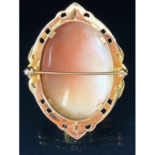 62 - 10ct gold Cameo, carved shell portrait cameo of a young woman set in a 2 colour gold frame of leaf d... 