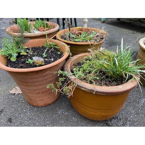 508 - Collection of four terracotta garden pots (A/F)