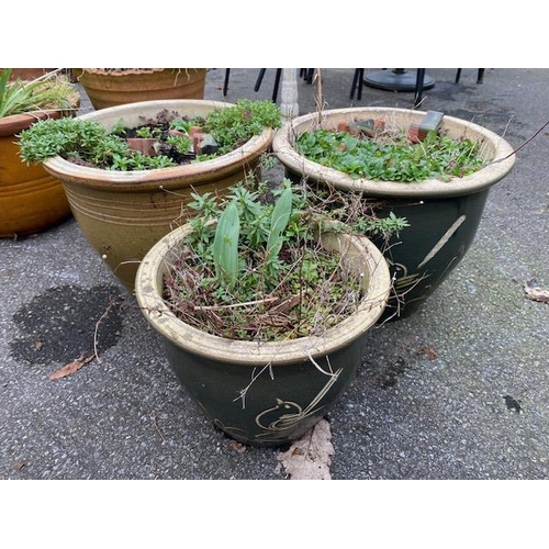 509 - Three glazed ceramic garden pots