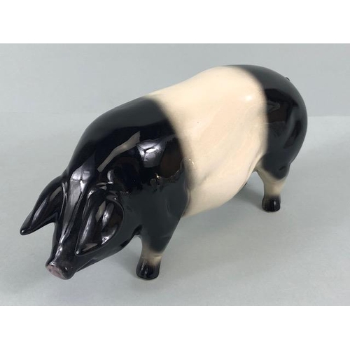 128 - Beswick, collection of vintage pig figures, CH Wall Queen 40 (chip to ear), CH wall Champion boy 53 ... 