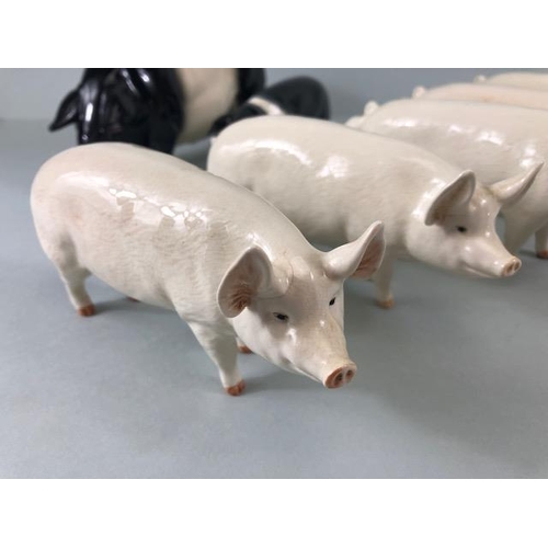 128 - Beswick, collection of vintage pig figures, CH Wall Queen 40 (chip to ear), CH wall Champion boy 53 ... 