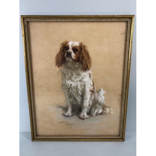 152 - Pastel  portrait of  a Cavalier King Charles Spaniel, Cobbly of Corr Castle, copy of Pedigree form a... 