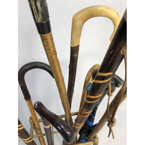 187 - Collection of vintage walking sticks and hiking poles in a Victorian style brass stand 10 items tota... 