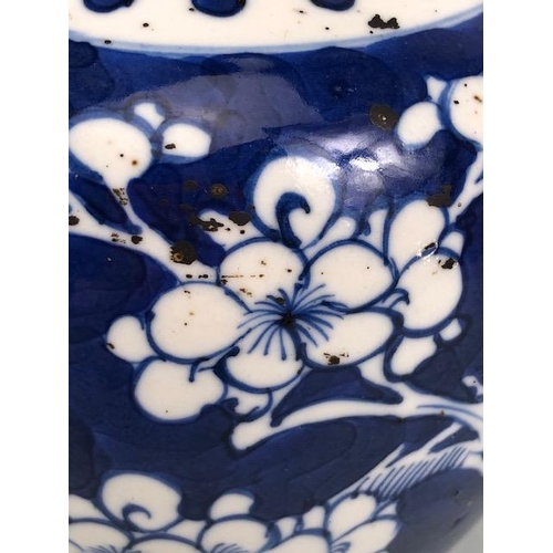 193 - Antique Chinese Ceramics, Blue and white export ginger jar in blue and white , Famille Jaune Ginger ... 