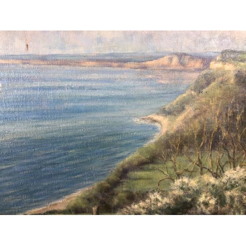 281 - Contemporary unsigned painting on board (Sandy Macfadyehn)  depicting Devon Coast Line approximately... 