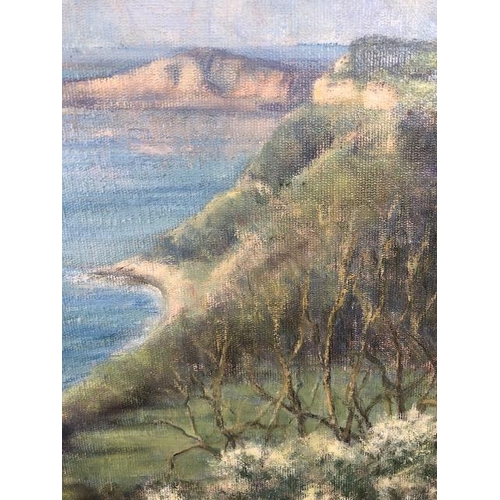 281 - Contemporary unsigned painting on board (Sandy Macfadyehn)  depicting Devon Coast Line approximately... 