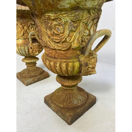 335 - Pair of Wrought Iron Garden Urns with Lion finial handles, flared rims on square bases each approx 4... 