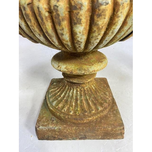 335 - Pair of Wrought Iron Garden Urns with Lion finial handles, flared rims on square bases each approx 4... 