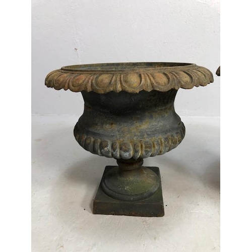 336 - Pair of wrought iron garden planters or Urns of classical style with flared rims (approx 48cm in dia... 