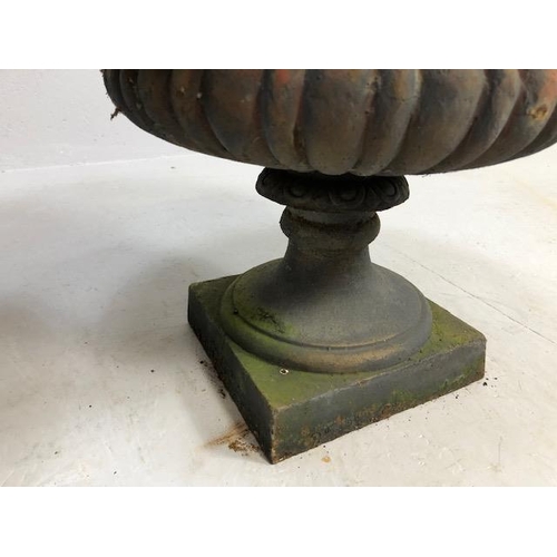 336 - Pair of wrought iron garden planters or Urns of classical style with flared rims (approx 48cm in dia... 