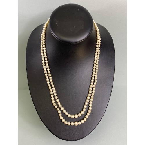 55 - cultured pearls with 18ct gold and Diamond clasp, double strand necklace of graduated cultured pearl... 