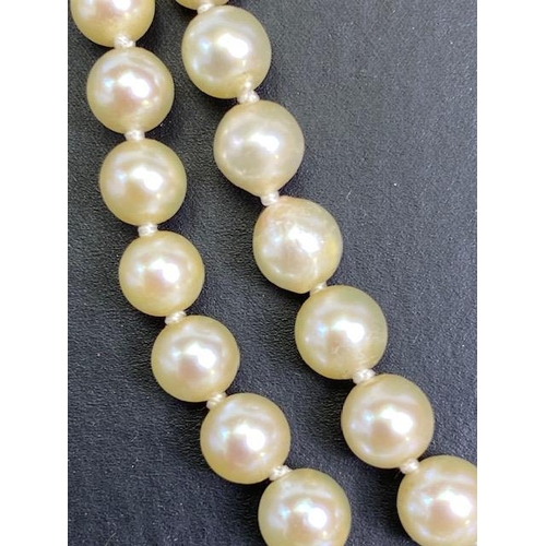 55 - cultured pearls with 18ct gold and Diamond clasp, double strand necklace of graduated cultured pearl... 