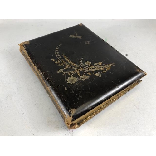 198 - Antique 19th century continental musical photograph album containing portrait photos  A.F,