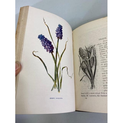 234 - Antique books on flowers, Wild Flowers by Anne Prat , 1857 illustrated cloth bound editions Vol 1+2,... 