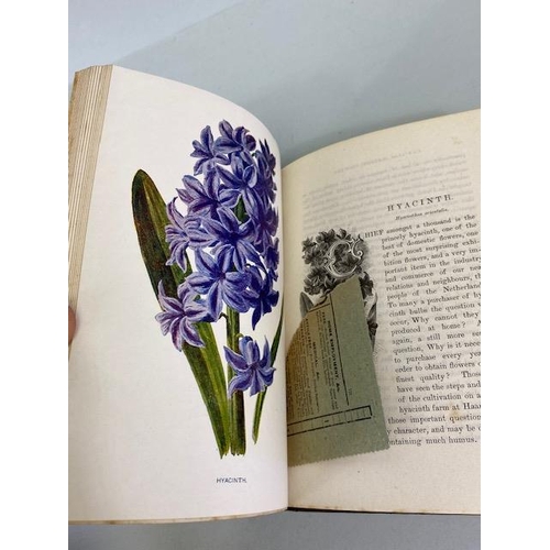 234 - Antique books on flowers, Wild Flowers by Anne Prat , 1857 illustrated cloth bound editions Vol 1+2,... 