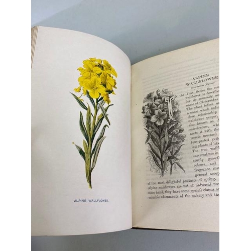 234 - Antique books on flowers, Wild Flowers by Anne Prat , 1857 illustrated cloth bound editions Vol 1+2,... 