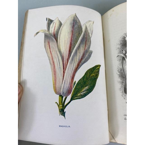 234 - Antique books on flowers, Wild Flowers by Anne Prat , 1857 illustrated cloth bound editions Vol 1+2,... 