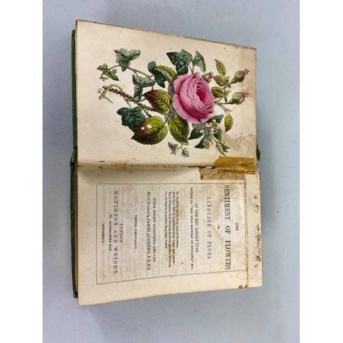 234 - Antique books on flowers, Wild Flowers by Anne Prat , 1857 illustrated cloth bound editions Vol 1+2,... 