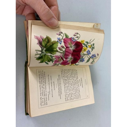 234 - Antique books on flowers, Wild Flowers by Anne Prat , 1857 illustrated cloth bound editions Vol 1+2,... 